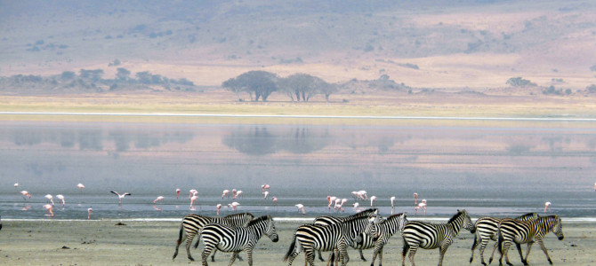 East Africa