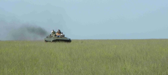 Safari en Tanque